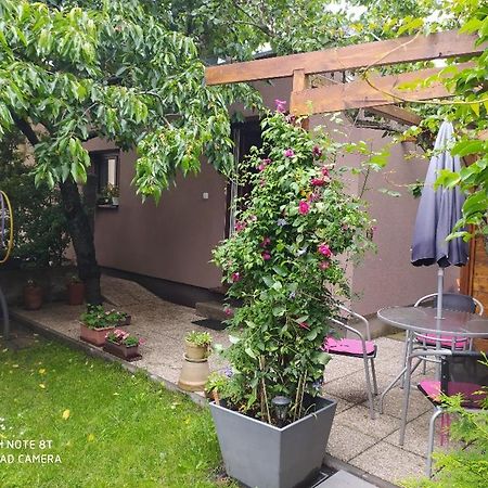 Apartment Garden Ceske Budejovice Eksteriør billede
